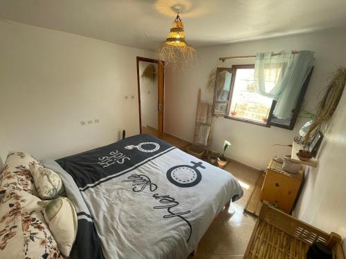 Imagen general del We surf Morocco BOUTIQUE HOUSE. Foto 4