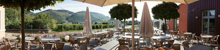 Imagen general del WeinKulturgut Longen-Schlöder. Foto 7