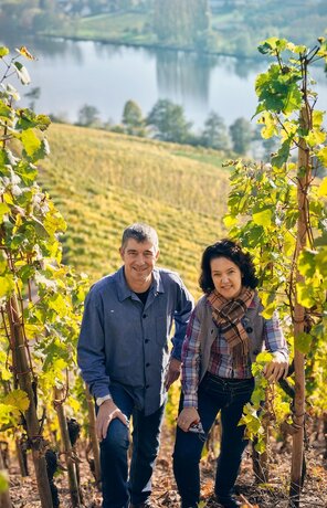 Imagen general del WeinKulturgut Longen-Schlöder. Foto 12