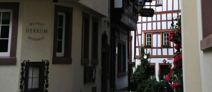 Imagen general del Weingut G&auml;stehaus Derkum. Foto 4