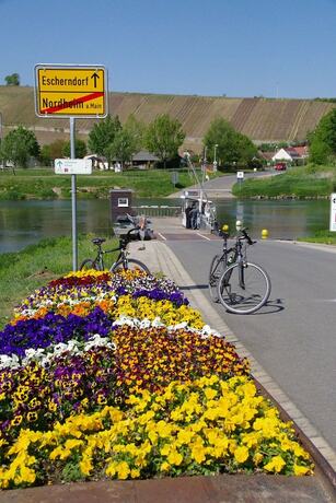 Imagen general del Weingut and Ferienwohnungen Kirch. Foto 8