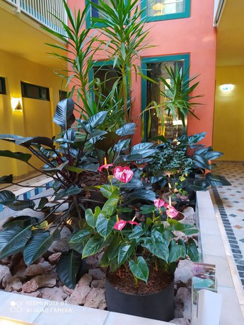 Imagen de los interiores del Weinhotel Atrium. Foto 20