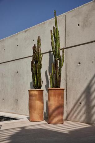 Imagen general del White City Limassol - Boutique Aparthotel. Foto 11