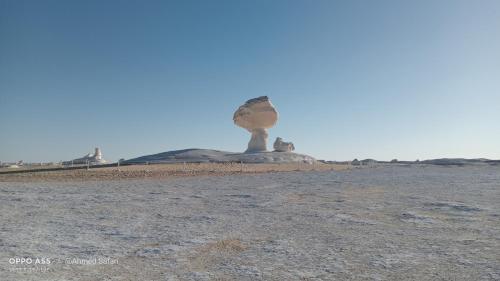 Imagen general del White Desert Sfari Oasis. Foto 5