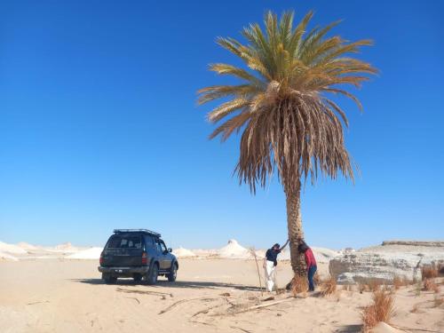 Imagen general del White Desert Sfari Oasis. Foto 7