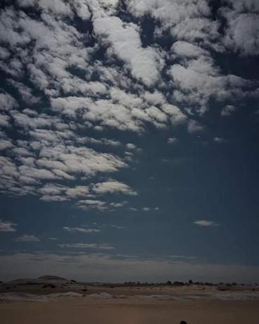 Imagen general del White Desert Sfari Oasis. Foto 8