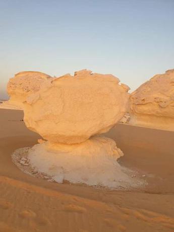 Imagen general del White Desert Sfari Oasis. Foto 14