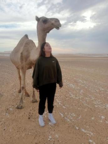 Imagen general del White Desert Sfari Oasis. Foto 17