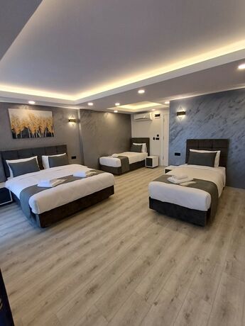 Imagen de la habitación del White Palace Hotel, Fatih. Foto 12