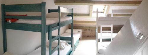 Imagen general del White Rabbit Hostel. Foto 4