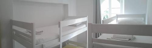 Imagen general del White Rabbit Hostel. Foto 9