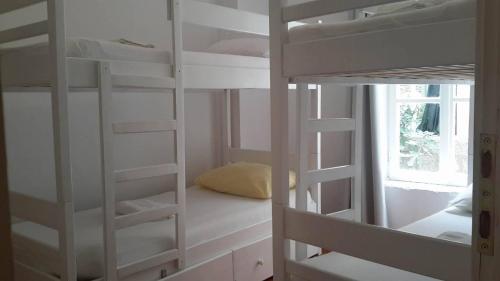 Imagen general del White Rabbit Hostel. Foto 10