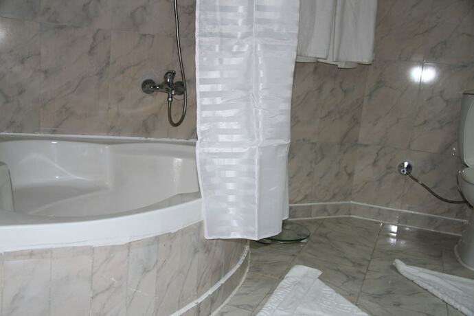 Imagen de la habitación del White Valley Palace. Foto 15