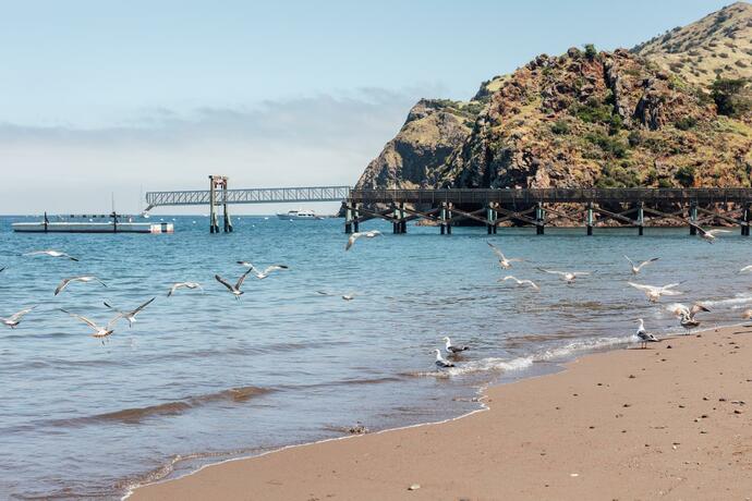 Imagen general del White's Landing Catalina Camp. Foto 22