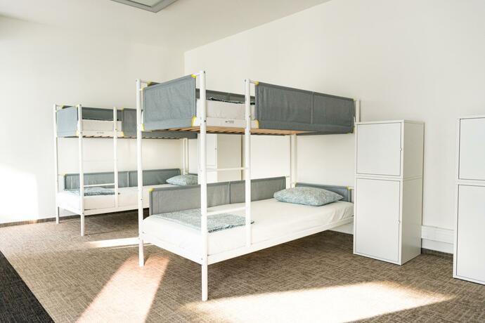Imagen general del Wild Elephants Hostel. Foto 2