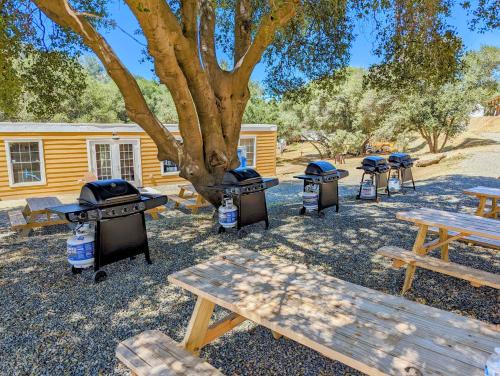 Imagen general del Wildhaven Yosemite Glamping. Foto 1