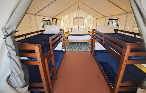 Imagen de la habitación del Wildhaven Yosemite Glamping. Foto 15