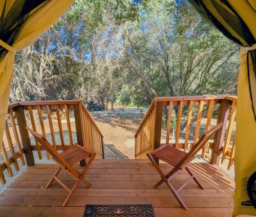 Imagen general del Wildhaven Yosemite Glamping. Foto 8