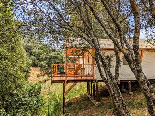 Imagen de la habitación del Wildhaven Yosemite Glamping. Foto 17
