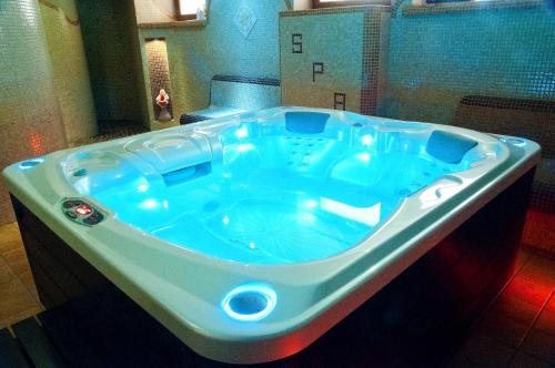 Imagen de la piscina del Willa Koba. Foto 15