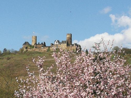 Imagen general del Winzerhof Brachtendorf. Foto 9