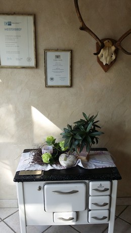 Imagen de los interiores del Wirth z Moosham. Foto 12
