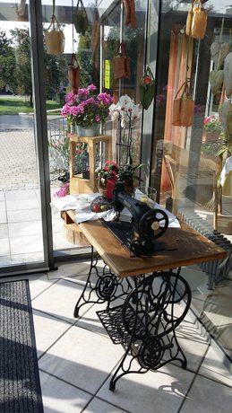 Imagen de los interiores del Wirth z Moosham. Foto 13