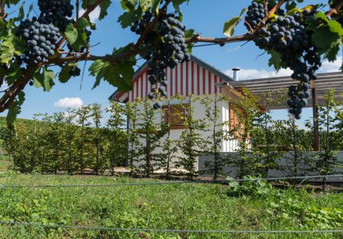 Imagen general del Wo der Hahn kräht. Foto 8