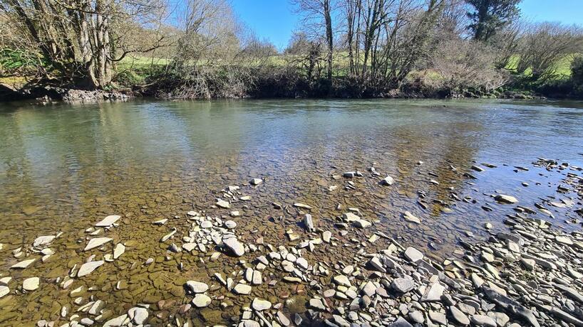 Imagen general del Wolf Meadows Farm Limited. Foto 5