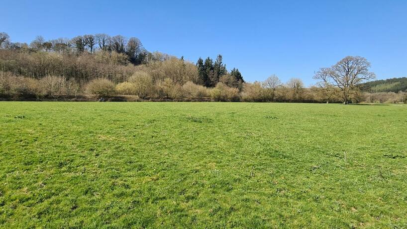 Imagen general del Wolf Meadows Farm Limited. Foto 7