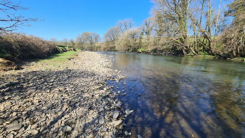 Imagen general del Wolf Meadows Farm Limited. Foto 18