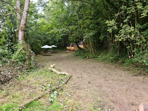 Imagen general del Wolf Meadows Farm Limited. Foto 34