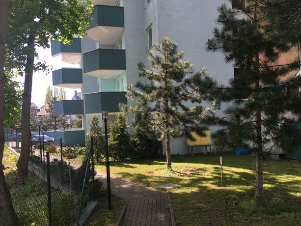 Imagen general del Wolin-Travel Fala. Foto 41