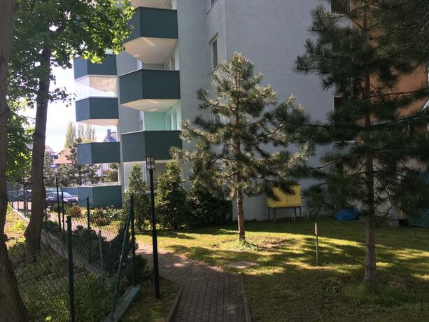 Imagen general del Wolin-Travel Fala. Foto 48