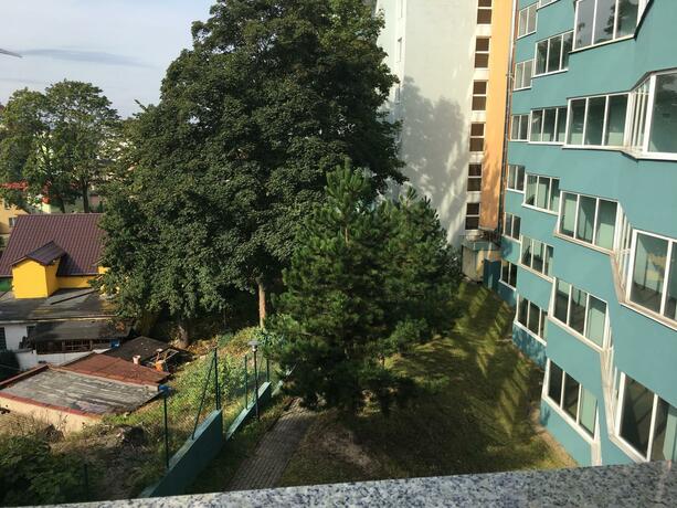 Imagen general del Wolin-Travel Fala. Foto 76