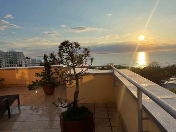 Imagen general del Wolin-Travel Fala. Foto 142