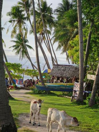 Imagen general del Wonderland, Siquijor City. Foto 4