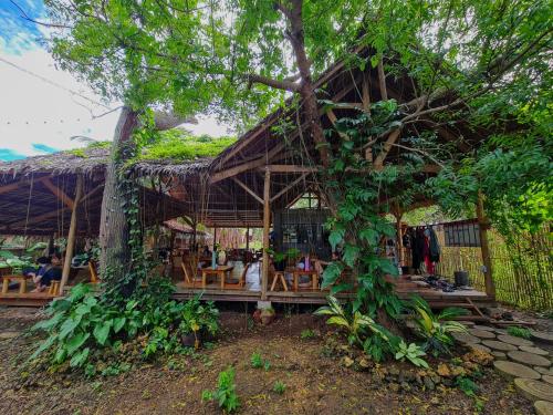 Imagen general del Wonderland, Siquijor City. Foto 11