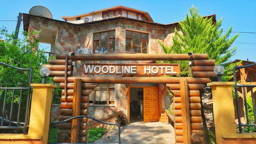 Imagen general del Woodline Hotel. Foto 2