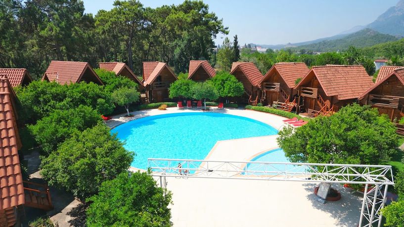 Imagen de la piscina del Woodline Hotel. Foto 15