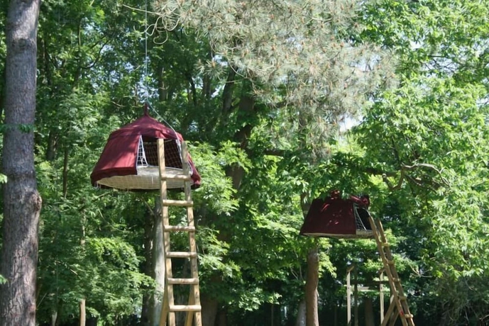 Imagen de la habitación del Woody Park. Foto 8