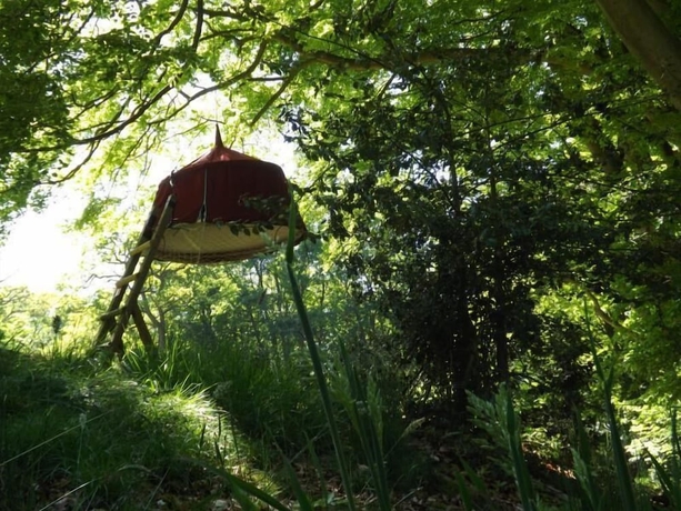 Imagen de la habitación del Woody Park. Foto 10
