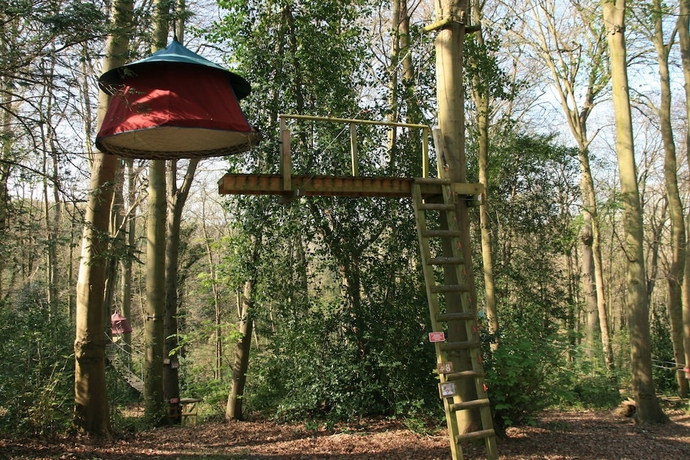 Imagen general del Woody Park. Foto 1