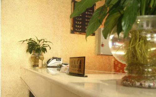 Imagen de la habitación del Wudangshan Tianbao Jiuru Inn. Foto 7