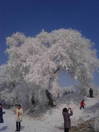 Imagen de la habitación del Wusong Island Songmei Renjia House. Foto 3