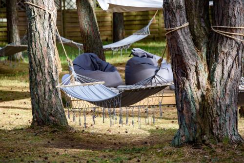 Imagen general del Wydma Park. Foto 8