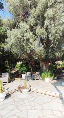 Imagen de los exteriores del Xenia and Antonis. Foto 2