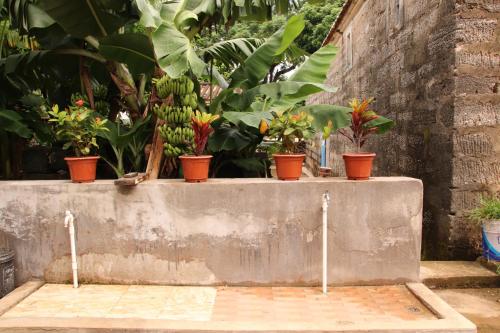 Imagen general del Xiaoyue Guesthouse. Foto 5