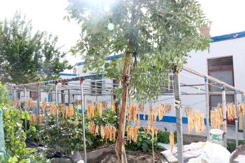 Imagen general del Xing Huo Homestay. Foto 6