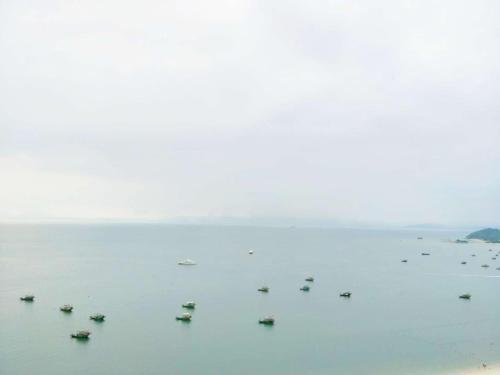 Imagen general del Xunliao Bay Sea Park Holiday Hotel. Foto 5